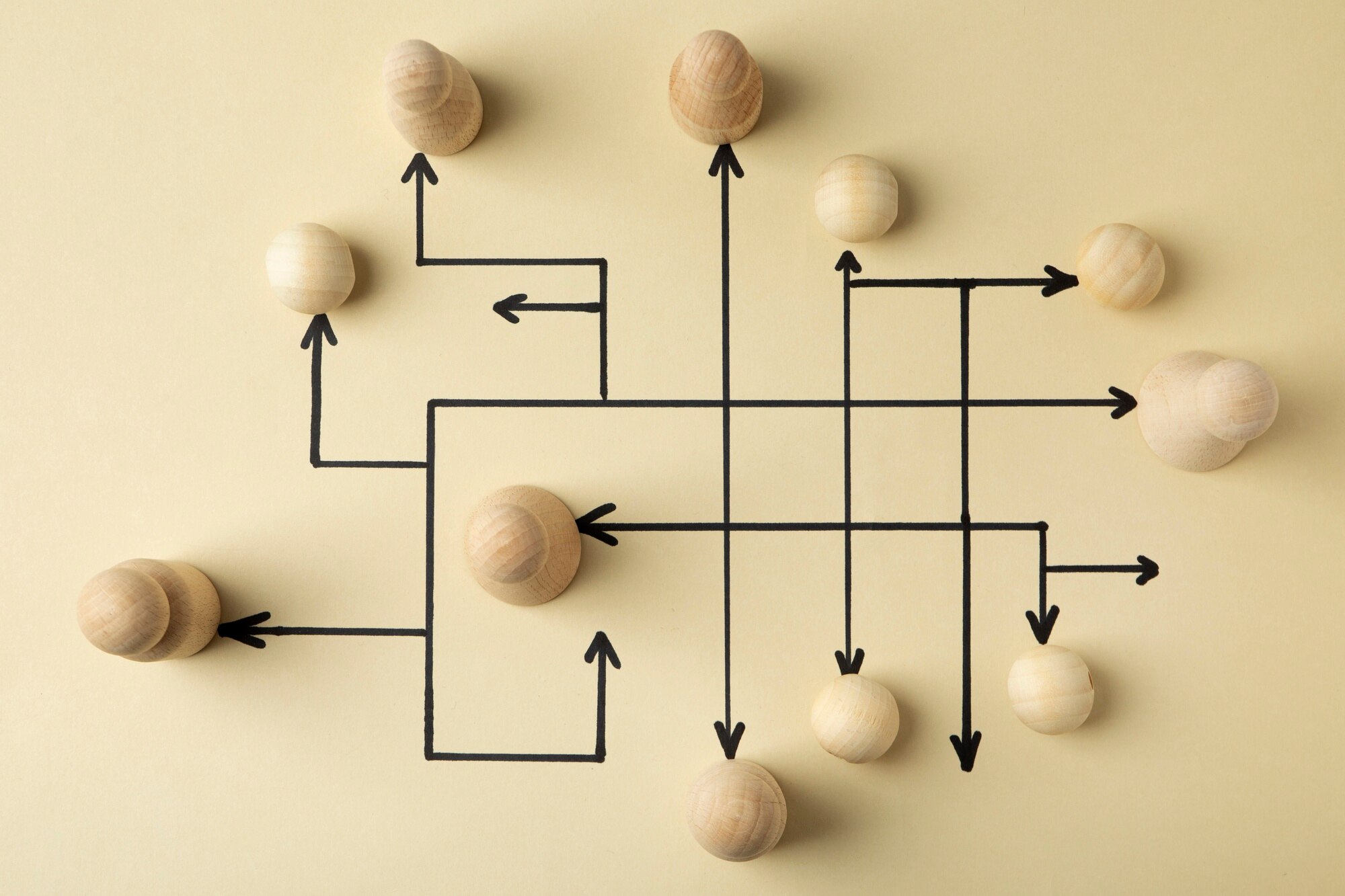 Estructura y organización